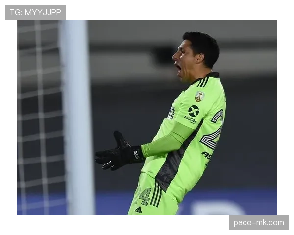 兹沃勒新星状态回暖,关键逆转助球队取胜 兹沃勒新星状态回暖,关键逆转助球队取胜