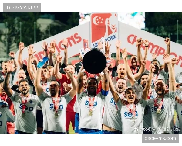 印度尼西亚国家队“加鲁达”在国际赛场表现稳健，迎来全新辉煌阶段