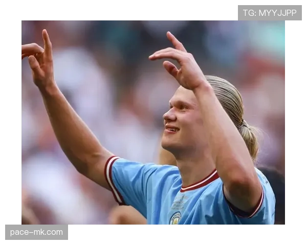 哈兰德国家队荣誉缺失对历史地位影响解析