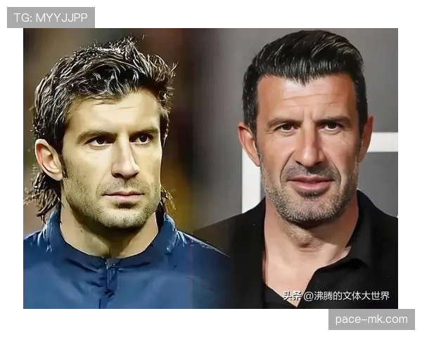 菲戈历史地位解析 菲戈历史地位解析